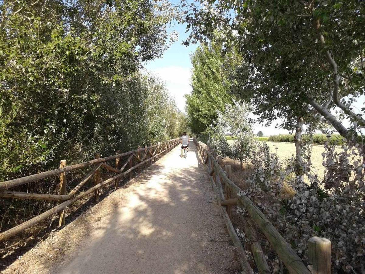 Casetes del Delta Sant Jaume d'Enveja Buitenkant foto